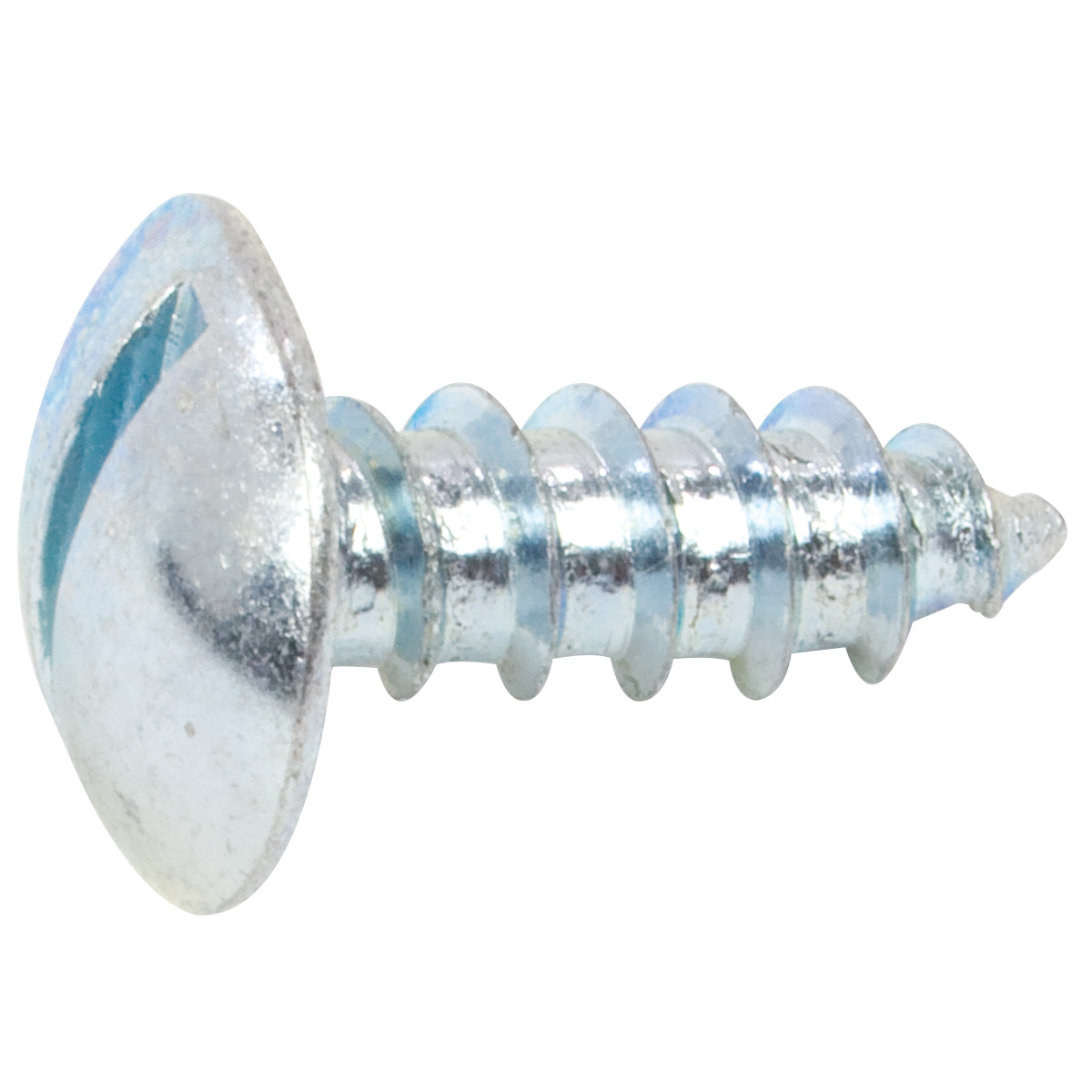 1/4" x 3/4" Slotted Round Truss Head License Plate Screw Bulk Pack