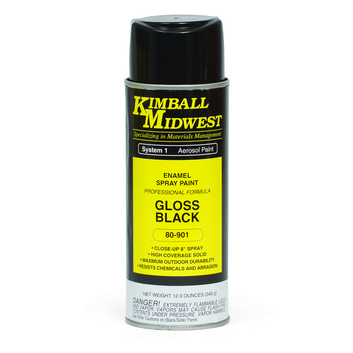 Gloss Black AllPurpose Enamel Spray Paint 16 oz. Can Case