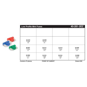 Low Profile Mini Fuse Poly Box Assortment