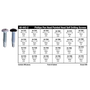 Phillips Pan Painted Head (SAE) Self Drilling Screw Assortment (#8 - #12)
