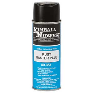 Black Rust Master™ Plus - 16 oz. Can