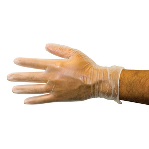 Disposable Vinyl Gloves - Large - 100 Gloves